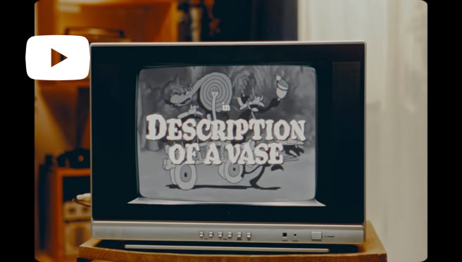 Video Video abspielen